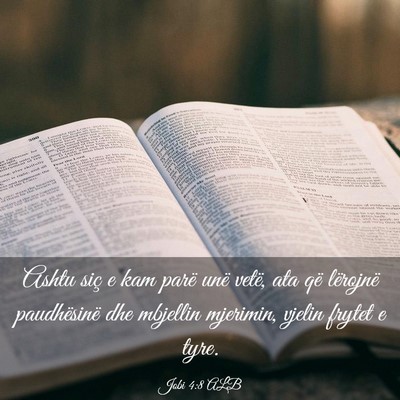 Picture 03 - Jobi 4:8 ALB - Ashtu siç e kam parë unë vetë, ata që - Bible Verse Picture