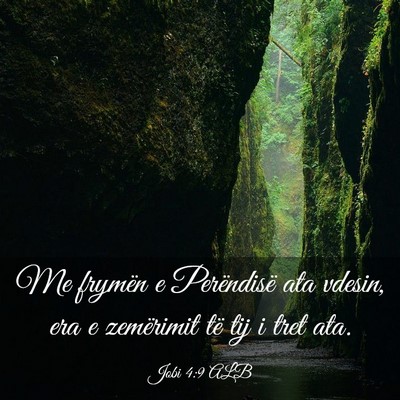 Picture 03 - Jobi 4:9 ALB - Me frymën e Perëndisë ata vdesin, era e - Bible Verse Picture