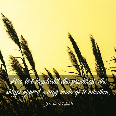 Picture 03 - Jobi 40:12 ALB - shiko tërë kryelartët dhe poshtëroji, dhe - Bible Verse Picture
