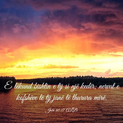 Picture 03 - Jobi 40:17 ALB - E lëkund bishtin e tij si një kedër; nervat e - Bible Verse Picture