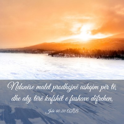 Picture 03 - Jobi 40:20 ALB - Ndonëse malet prodhojnë ushqim për të, dhe - Bible Verse Picture