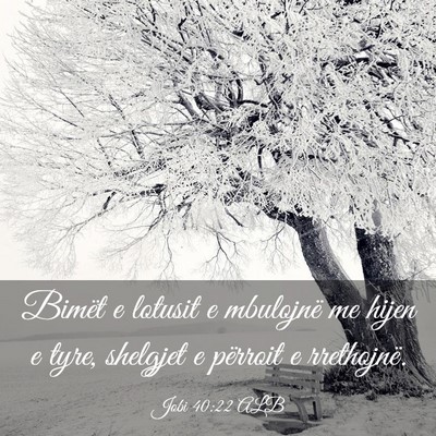 Picture 03 - Jobi 40:22 ALB - Bimët e lotusit e mbulojnë me hijen e tyre, - Bible Verse Picture