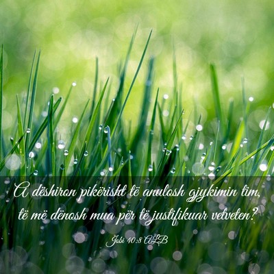 Picture 03 - Jobi 40:8 ALB - A dëshiron pikërisht të anulosh gjykimin tim, - Bible Verse Picture