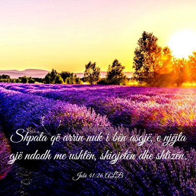 Picture 03 - Jobi 41:26 ALB - Shpata që arrin nuk i bën asgjë, e njëjta - Bible Verse Picture