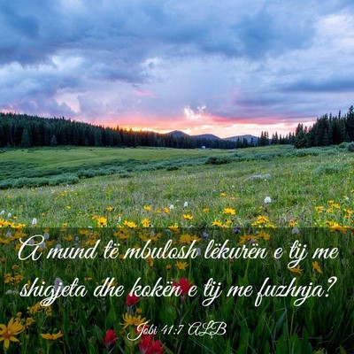 Picture 03 - Jobi 41:7 ALB - A mund të mbulosh lëkurën e tij me shigjeta - Bible Verse Picture