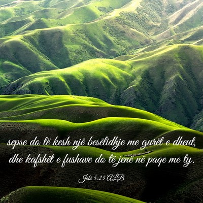 Picture 03 - Jobi 5:23 ALB - sepse do të kesh një besëlidhje me gurët e - Bible Verse Picture