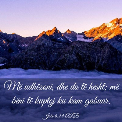 Picture 03 - Jobi 6:24 ALB - Më udhëzoni, dhe do të hesht; më bëni të - Bible Verse Picture