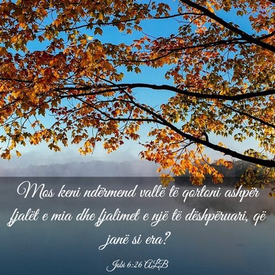 Picture 03 - Jobi 6:26 ALB - Mos keni ndërmend vallë të qortoni ashpër - Bible Verse Picture