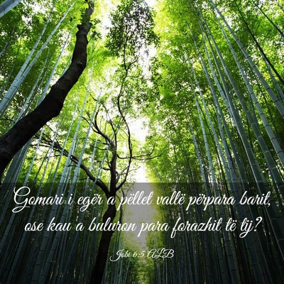 Picture 03 - Jobi 6:5 ALB - Gomari i egër a pëllet vallë përpara barit, - Bible Verse Picture