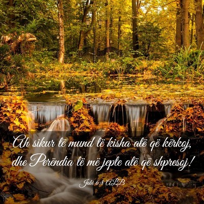 Picture 03 - Jobi 6:8 ALB - Ah sikur të mund të kisha atë që kërkoj, dhe - Bible Verse Picture