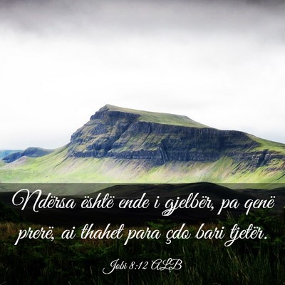 Picture 03 - Jobi 8:12 ALB - Ndërsa është ende i gjelbër, pa qenë prerë, - Bible Verse Picture
