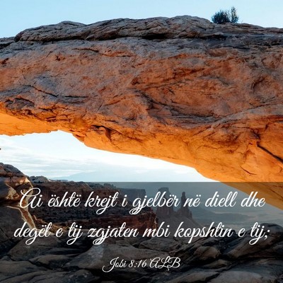 Picture 03 - Jobi 8:16 ALB - Ai është krejt i gjelbër në diell dhe degët - Bible Verse Picture