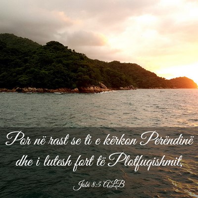 Picture 03 - Jobi 8:5 ALB - Por në rast se ti e kërkon Perëndinë dhe i - Bible Verse Picture