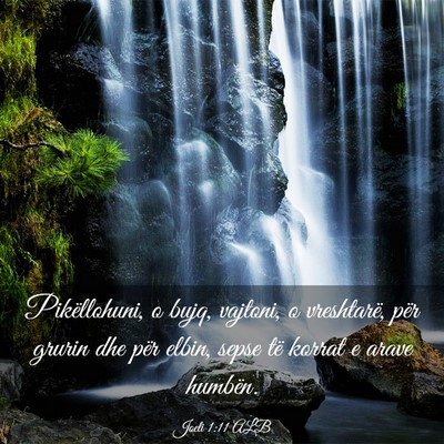 Picture 03 - Joeli 1:11 ALB - Pikëllohuni, o bujq, vajtoni, o vreshtarë, për - Bible Verse Picture