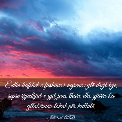 Picture 03 - Joeli 1:20 ALB - Edhe kafshët e fushave i ngrenë sytë drejt - Bible Verse Picture