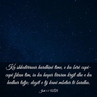 Picture 03 - Joeli 1:7 ALB - Ka shkatërruar hardhinë time, e ka bërë - Bible Verse Picture
