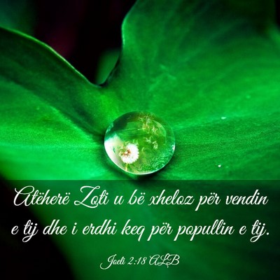 Picture 03 - Joeli 2:18 ALB - Atëherë Zoti u bë xheloz për vendin e tij dhe - Bible Verse Picture