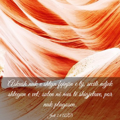 Picture 03 - Joeli 2:8 ALB - Askush nuk e shtyn fqinjin e tij, secili ndjek - Bible Verse Picture