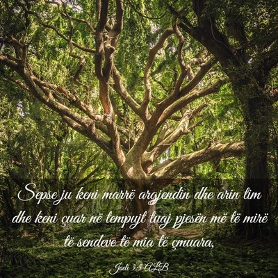 Picture 03 - Joeli 3:5 ALB - Sepse ju keni marrë argjendin dhe arin tim dhe - Bible Verse Picture