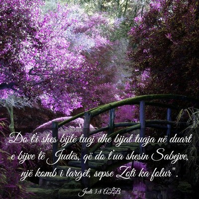 Picture 03 - Joeli 3:8 ALB - Do t’i shes bijtë tuaj dhe bijat tuaja në - Bible Verse Picture