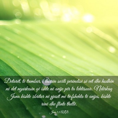 Picture 03 - Jona 1:5 ALB - Detarët, të trembur, i thirrën secili - Bible Verse Picture
