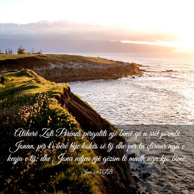 Picture 03 - Jona 4:6 ALB - Atëherë Zoti Perëndi përgatiti një bimë që - Bible Verse Picture