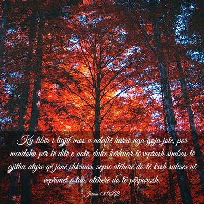 Picture 03 - Jozueu 1:8 ALB - Ky libër i ligjit mos u ndaftë kurrë nga goja - Bible Verse Picture