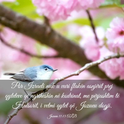 Picture 03 - Jozueu 11:13 ALB - Por Izraeli nuk u vuri flakën asnjërit prej - Bible Verse Picture