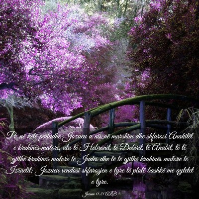 Picture 03 - Jozueu 11:21 ALB - Po në këtë periudhë Jozueu u nis në marshim - Bible Verse Picture