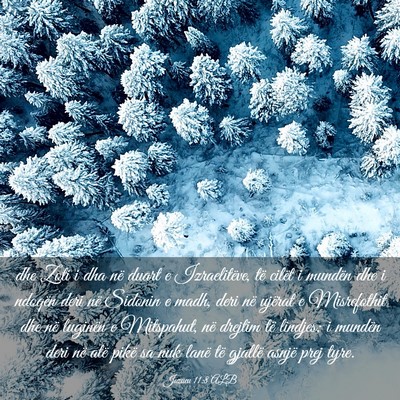 Picture 03 - Jozueu 11:8 ALB - dhe Zoti i dha në duart e Izraelitëve, të - Bible Verse Picture
