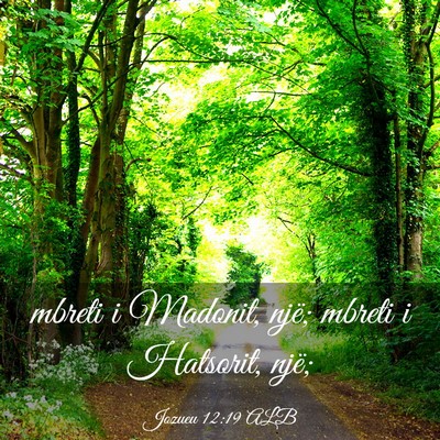 Picture 03 - Jozueu 12:19 ALB - mbreti i Madonit, një; mbreti i Hatsorit, - Bible Verse Picture