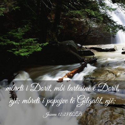 Picture 03 - Jozueu 12:23 ALB - mbreti i Dorit, mbi lartësinë e Dorit, një; - Bible Verse Picture