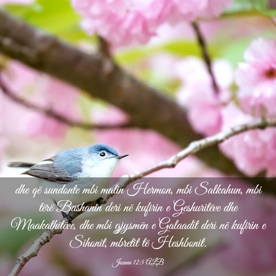 Picture 03 - Jozueu 12:5 ALB - dhe që sundonte mbi malin Hermon, mbi Salkahun, - Bible Verse Picture