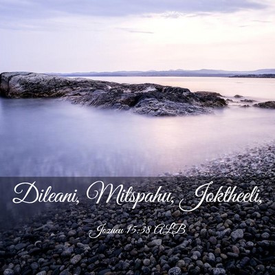 Picture 03 - Jozueu 15:38 ALB - Dileani, Mitspahu, - Bible Verse Picture