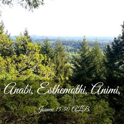 Picture 03 - Jozueu 15:50 ALB - Anabi, Esthemothi, - Bible Verse Picture