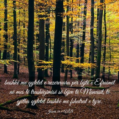 Picture 03 - Jozueu 16:9 ALB - bashkë me qytetet e rezervuara për bijtë e - Bible Verse Picture
