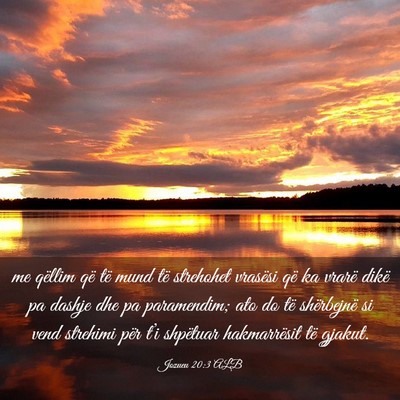Picture 03 - Jozueu 20:3 ALB - me qëllim që të mund të strehohet vrasësi - Bible Verse Picture
