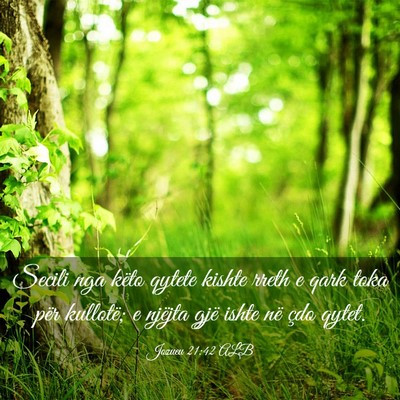 Picture 03 - Jozueu 21:42 ALB - Secili nga këto qytete kishte rreth e qark toka - Bible Verse Picture