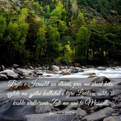 Picture 03 - Jozueu 21:8 ALB - Bijtë e Izraelit ua dhanë, pra, me short këto - Bible Verse Picture