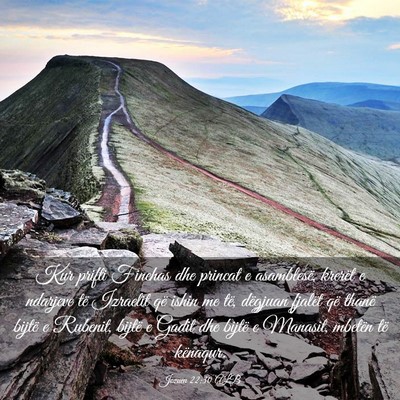 Picture 03 - Jozueu 22:30 ALB - Kur prifti Finehas dhe princat e asamblesë, - Bible Verse Picture