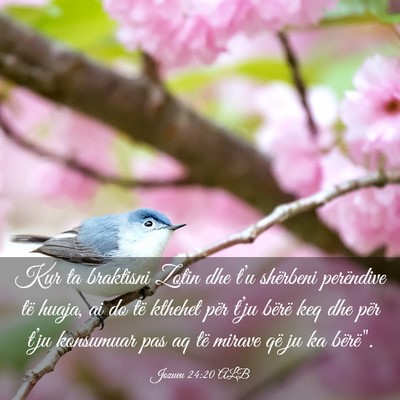 Picture 03 - Jozueu 24:20 ALB - Kur ta braktisni Zotin dhe t’u shërbeni - Bible Verse Picture