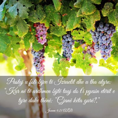 Picture 03 - Jozueu 4:21 ALB - Pastaj u foli bijve të Izraelit dhe u tha atyre: - Bible Verse Picture