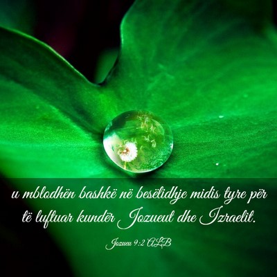 Picture 03 - Jozueu 9:2 ALB - u mblodhën bashkë në besëlidhje midis tyre - Bible Verse Picture