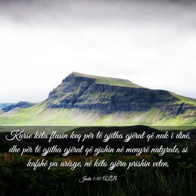 Picture 03 - Juda 1:10 ALB - Kurse këta flasin keq për të gjitha gjërat - Bible Verse Picture