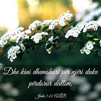 Picture 03 - Juda 1:22 ALB - Dhe kini dhemshuri për njëri duke përdorur - Bible Verse Picture