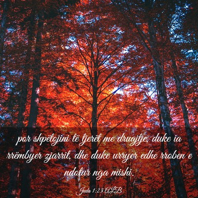Picture 03 - Juda 1:23 ALB - por shpëtojini të tjerët me druajtje, duke ia - Bible Verse Picture