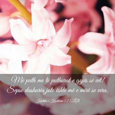 Picture 03 - Kantiku i Kantikëve 1:2 ALB - Më puth me të puthurat e gojës së vet! Sepse - Bible Verse Picture