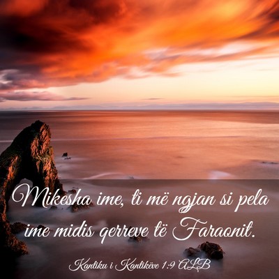 Picture 03 - Kantiku i Kantikëve 1:9 ALB - Mikesha ime, ti më ngjan si pela ime midis - Bible Verse Picture