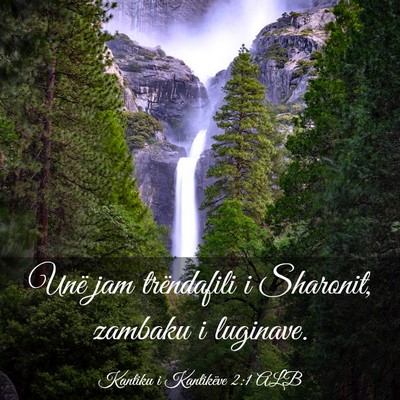 Picture 03 - Kantiku i Kantikëve 2:1 ALB - Unë jam trëndafili i Sharonit, zambaku i - Bible Verse Picture