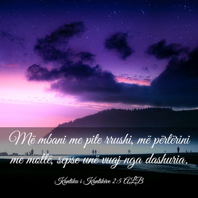 Picture 03 - Kantiku i Kantikëve 2:5 ALB - Më mbani me pite rrushi, më përtërini me - Bible Verse Picture